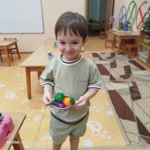 ндс1