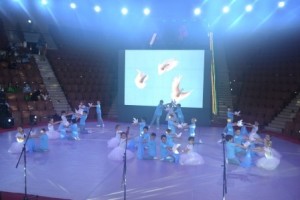 29вк25